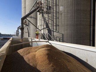 Recordjaar voor bedrijven in North Sea Port