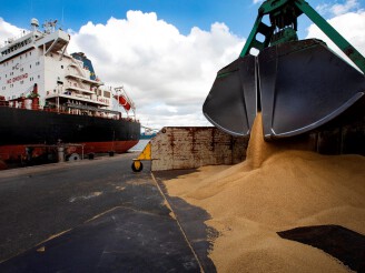 North Sea Port gastheer voor Europese bulksector