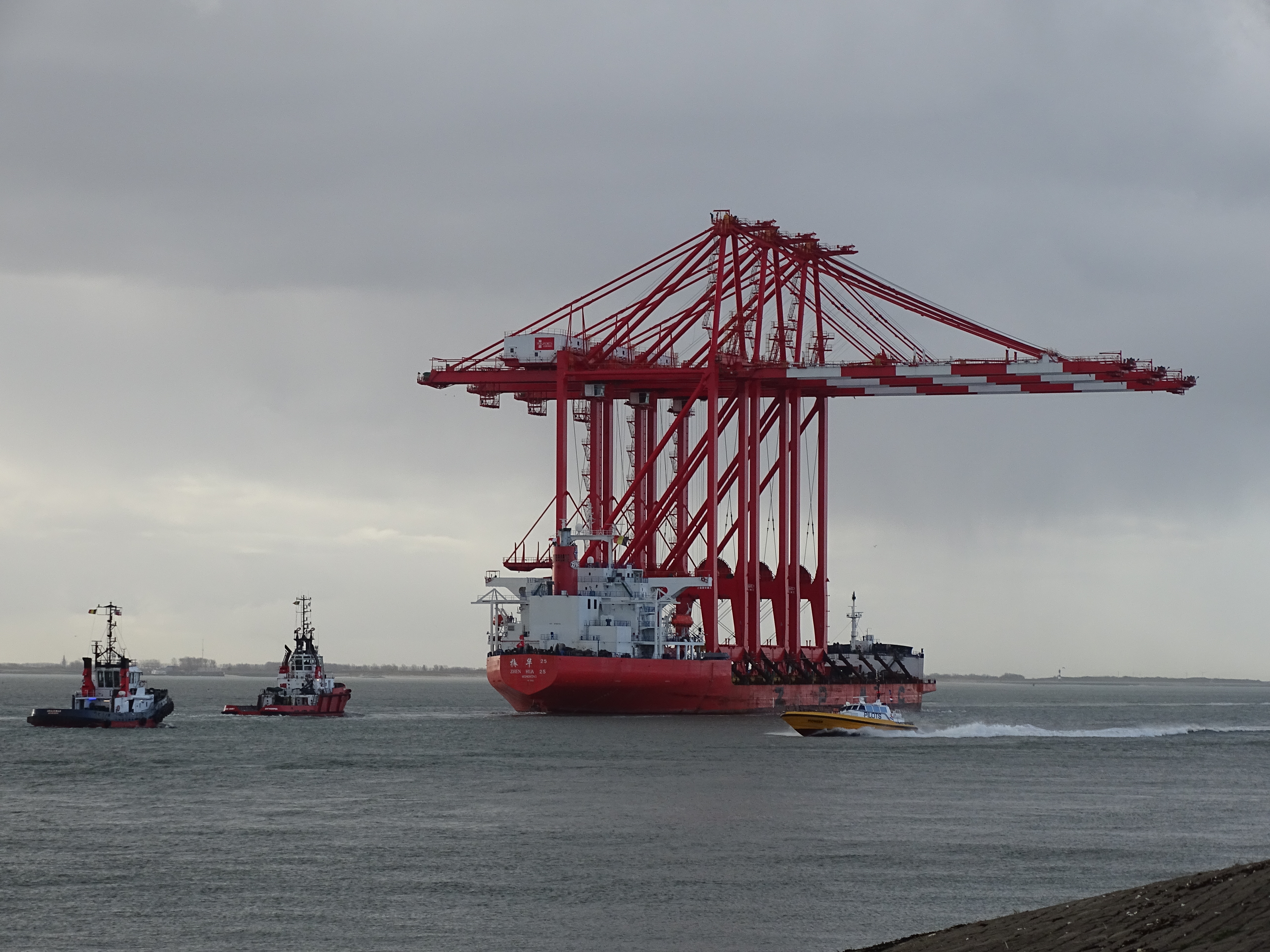 Photo Boluda Towage