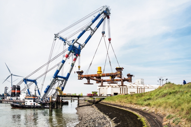 ResizedHillebrand 0000